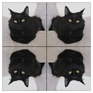 Tela Gato en el sofá