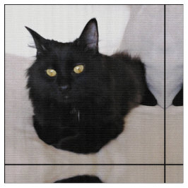 Tela Gato en el sofá