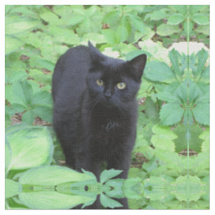 Tela Gato negro del gatito en jardín