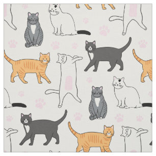 Tela Gatos cortos