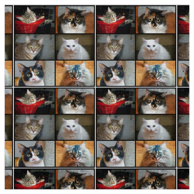Tela Gatos Gatos Gatos (Retal)