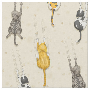 Tela Gatos permitidos