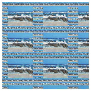 Tela Gaviota En Piedras De Playa,