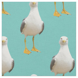 Tela Gaviota linda en un fondo verde azulado ligero