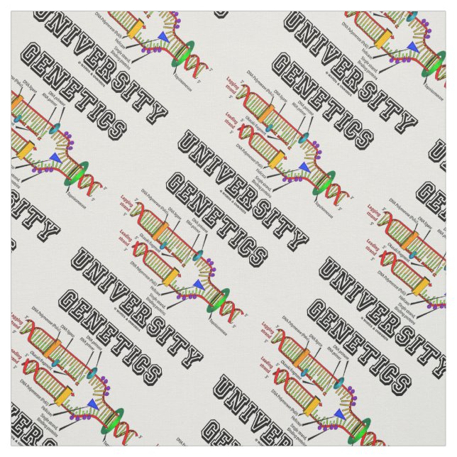Tela Genetics University DNA Replication (Retal)