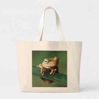 Tela Gigante Este pequeño bolso de la rana