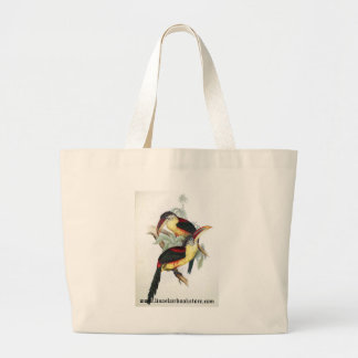 Tela Gigante Gould - bolso Rizo-Con cresta del promo de Aracari