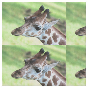 Tela Girafa del bebé