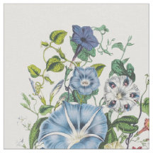 Glorias de la mañana