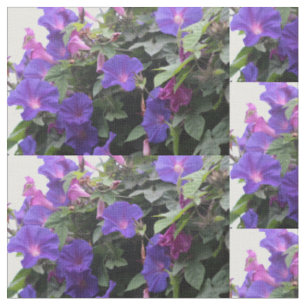 Tela glorias de la mañana azules, glorias, glorias de l