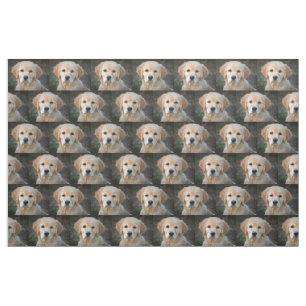Tela Golden Retriever Puppy