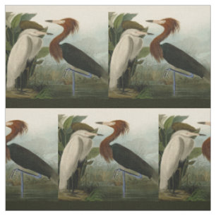 Tela Grabado de Garza Morada de Audubon: Arte de Aves