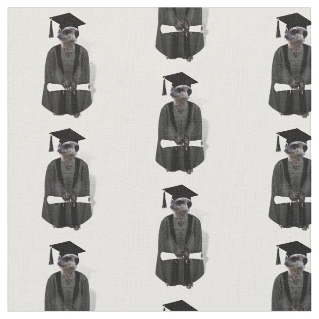 Tela Graduado de Meerkat con Diploma (De cerca)