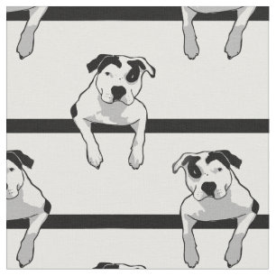 Tela Gráfico del T-Hueso del pitbull