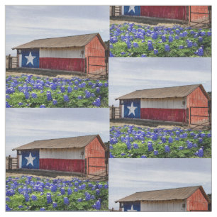 Tela Granero del paisaje de Tejas con Bluebonnets 4,5"