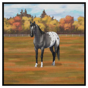 Tela Gray Grulla Appaloosa Quarter Stallion