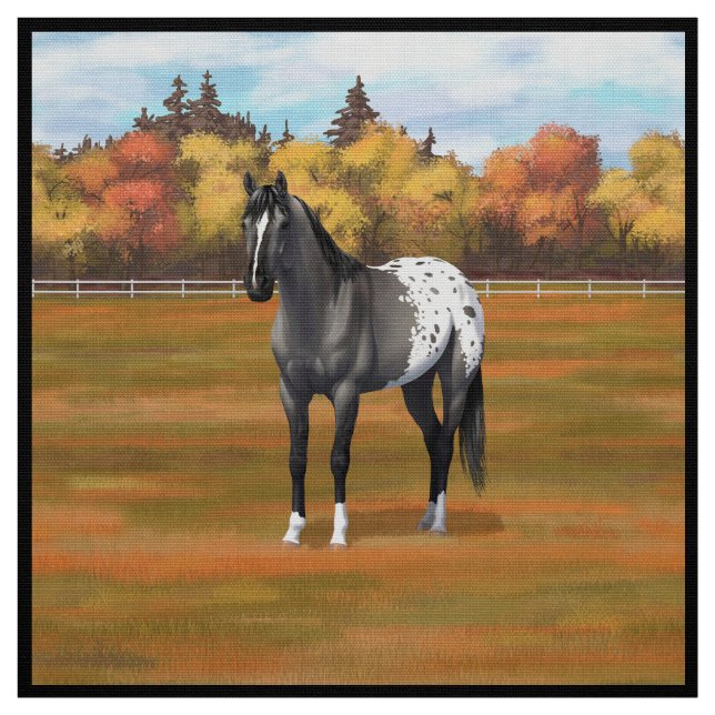 Tela Gray Grulla Appaloosa Quarter Stallion (Retal)