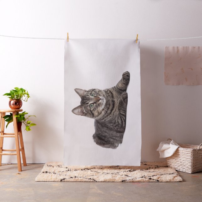 Tela Gray Tabby Cat (In Situ)