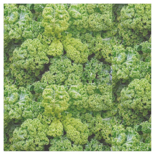 Tela Green cabbage (De cerca)
