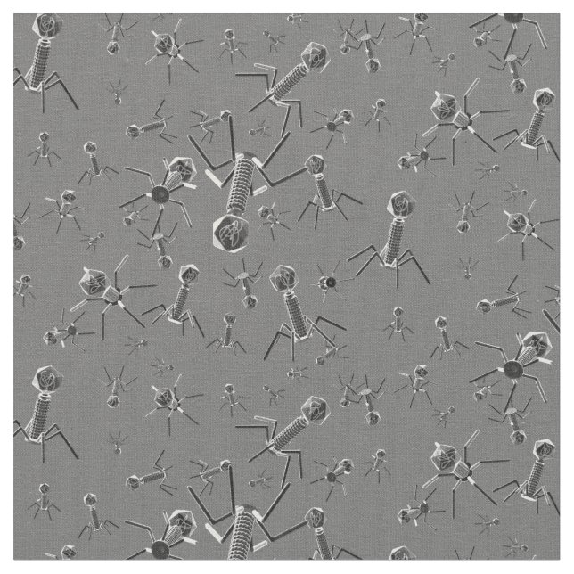 Tela Gris del bacteriófago (De cerca)
