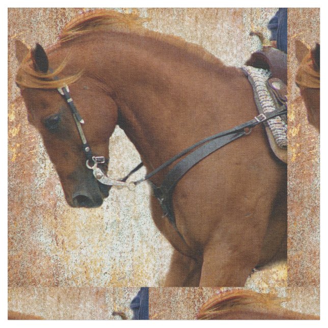 Tela Grunge del caballo occidental (De cerca)
