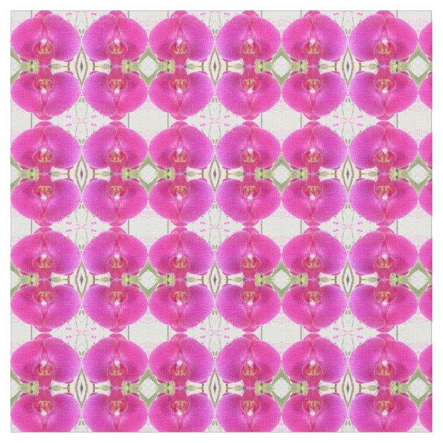 Tela Guda (De cerca)