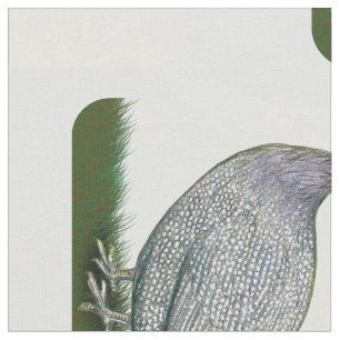 Tela Guinea Lavender En Vigilancia