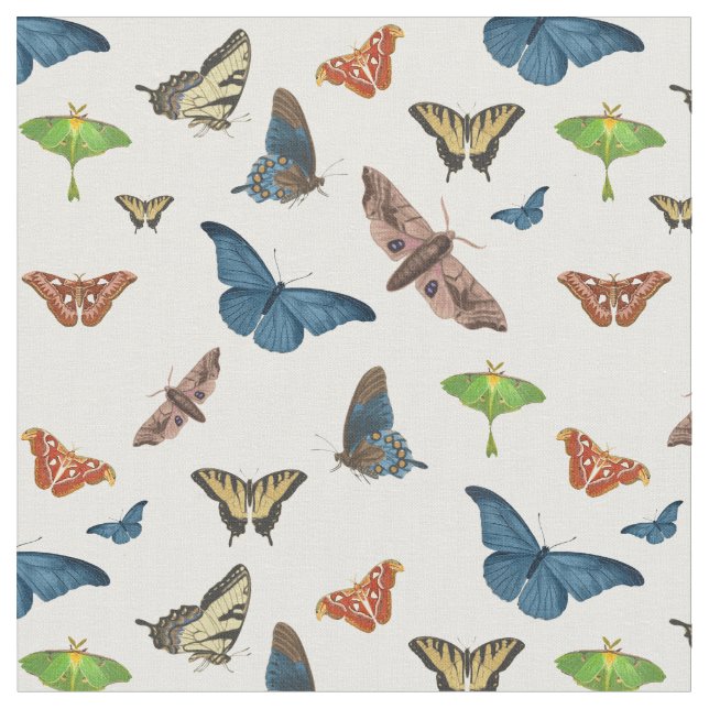 Tela halloween creepy moth print (De cerca)