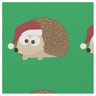Tela Hedgehog, Navidades de barrio, con un Sombrero San
