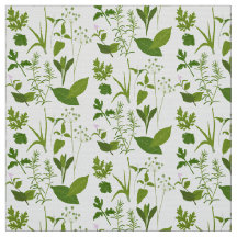 Herbs Colección de hierbas