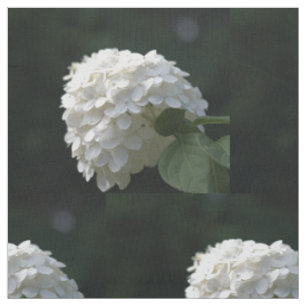 Tela Hermosa Flor de Hortensia de Lima Blanca