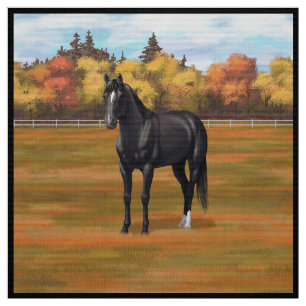 Tela Hermoso Stallion de caballos del Barrio Negro