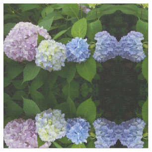 Tela Hidrangeas azules, hortensias rosadas, hidrangea p
