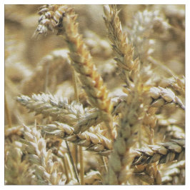 Tela Hierba temática, secada del primer o trigo en el