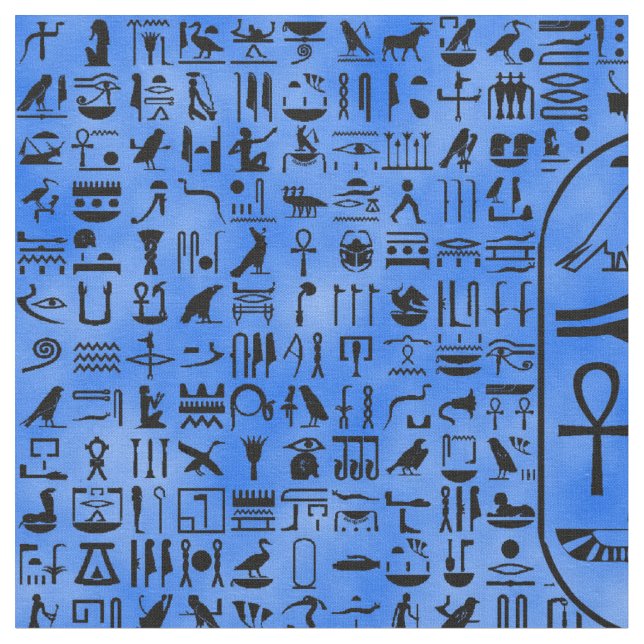 Tela Hieroglyphics azules (De cerca)
