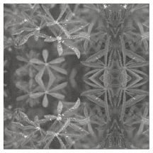 Hojas de agua con puntos