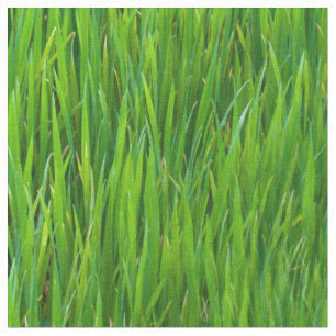 Tela Hojas de la hierba