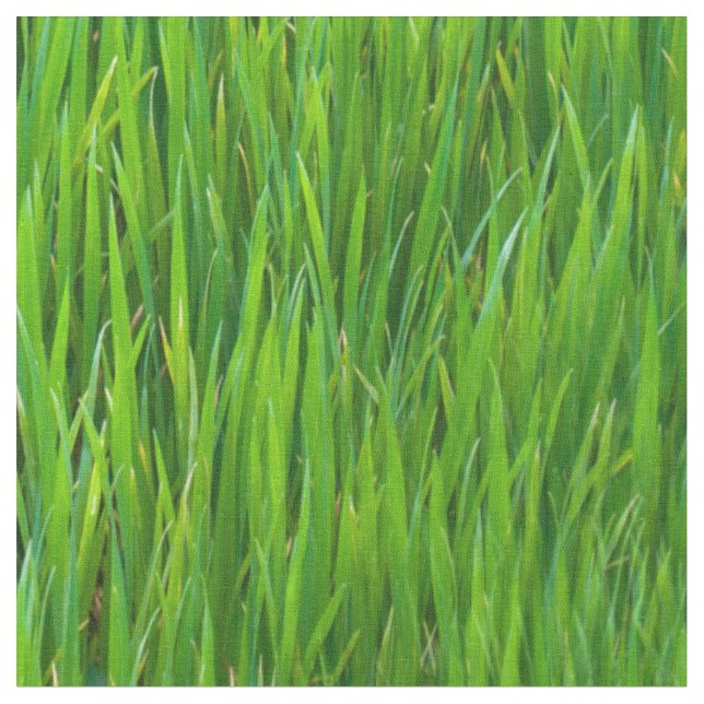 Tela Hojas de la hierba (De cerca)