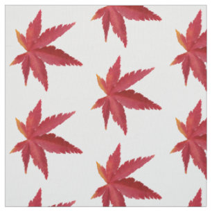 Tela Hojas de otoño