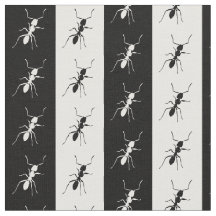 Hormigas rayadas, blancos y negros