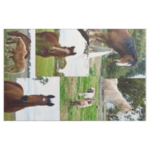 Tela Horse_Collage, Algodón de alambre (56" de ancho) M