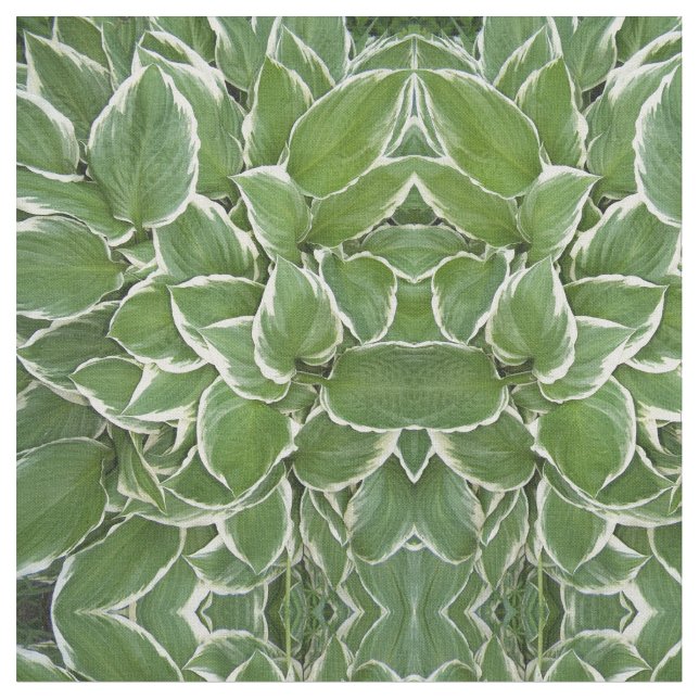 Tela Hosta deja tejido de imagen reflejado (De cerca)
