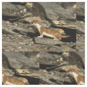 Tela Hunting Weasel