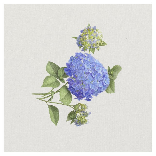 Tela Hydrangeas Blue (De cerca)