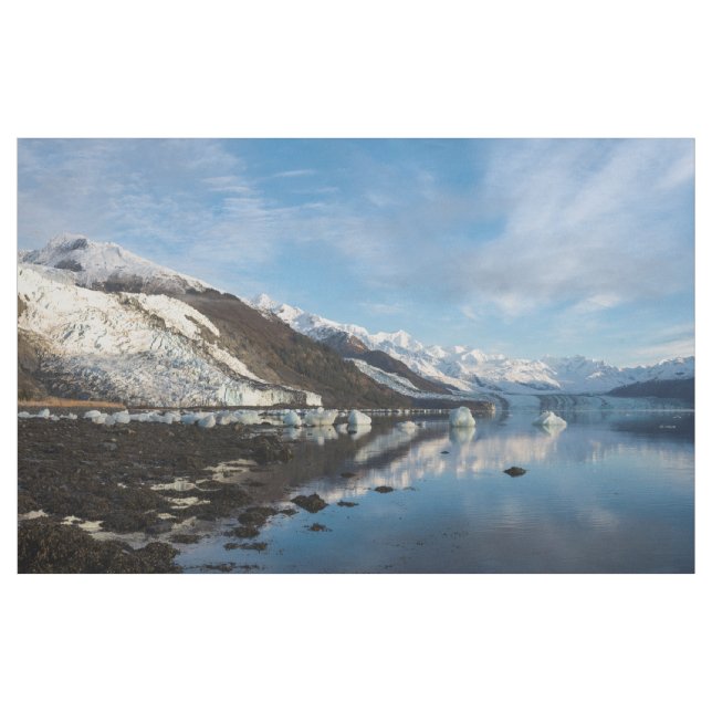 Tela Icy College Fjord (Yarda)