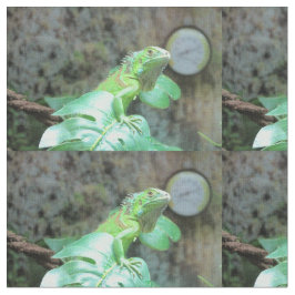 Tela iguana verde
