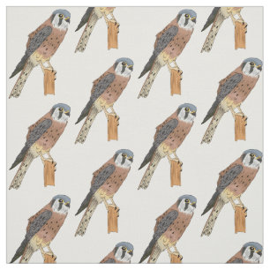 Tela Ilustracion americano de aves de Kestrel