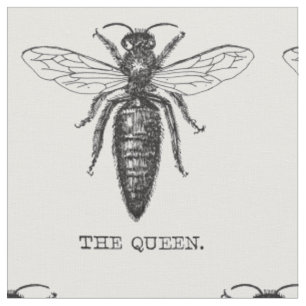 Tela Ilustración antigua de insecto bug abeja reina