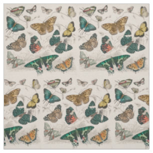 Tela Ilustración antigua de mariposa: Orfebre de 1820