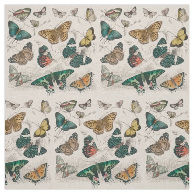 Tela Ilustración antigua de mariposa: Orfebre de 1820 (Retal)